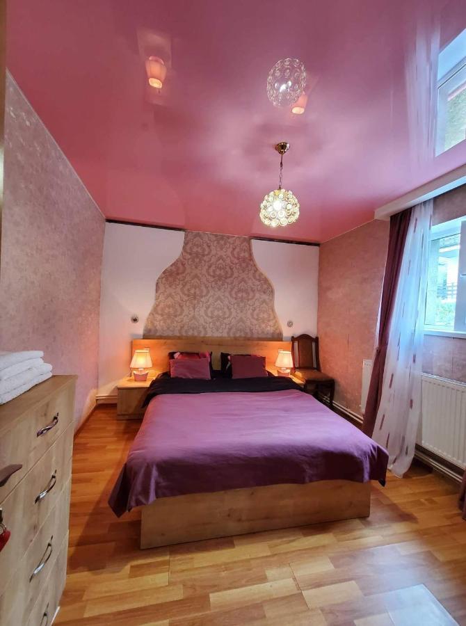 Guest House Elguja Qushashvili كازباجي المظهر الخارجي الصورة