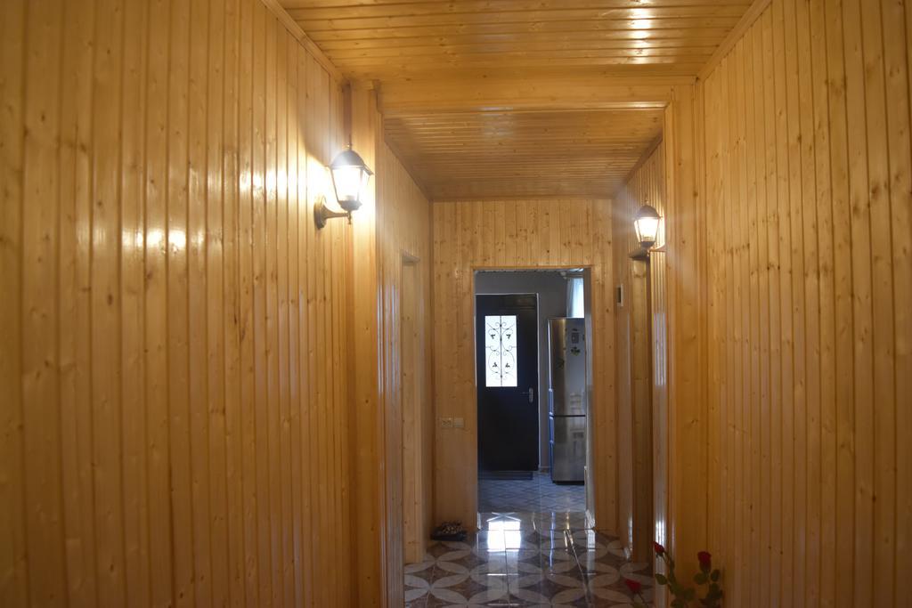 Guest House Elguja Qushashvili كازباجي المظهر الخارجي الصورة