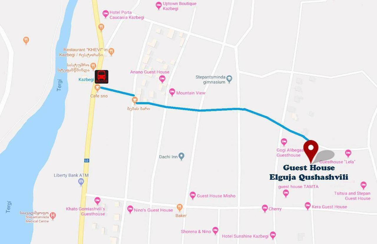 Guest House Elguja Qushashvili كازباجي المظهر الخارجي الصورة
