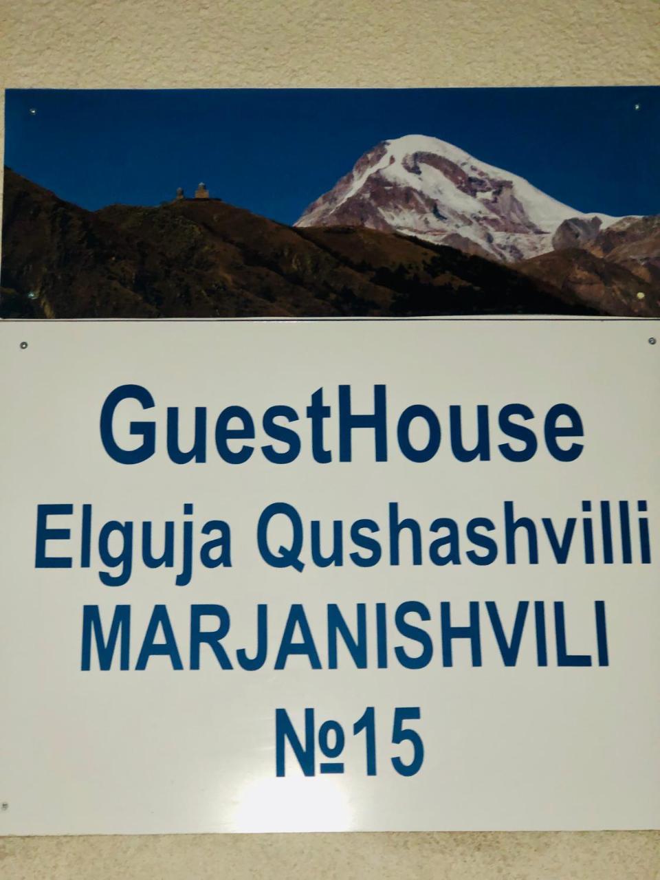 Guest House Elguja Qushashvili كازباجي المظهر الخارجي الصورة
